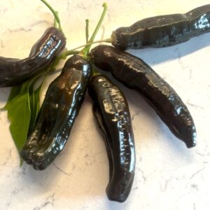 Aji Panca Capsicum baccatum