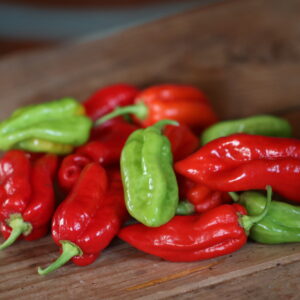 Carolina Lava Capsicum baccatum