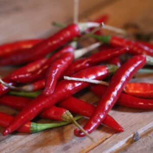 Thai Culinary Capsicum annuum