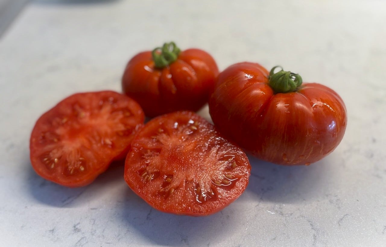 Cherokee Tiger Large Red Tomatfröer