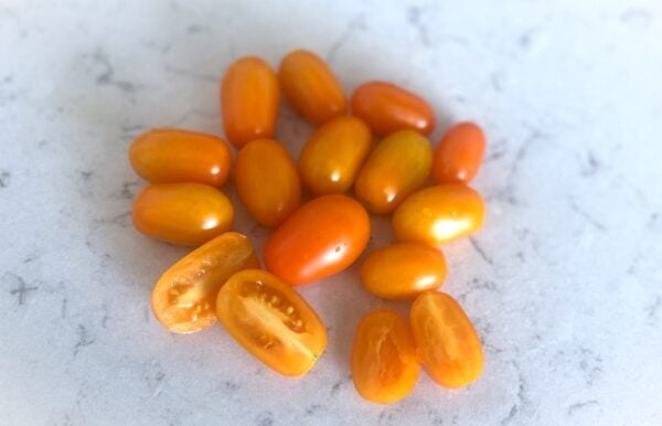 Ormato Tomatfröer 2