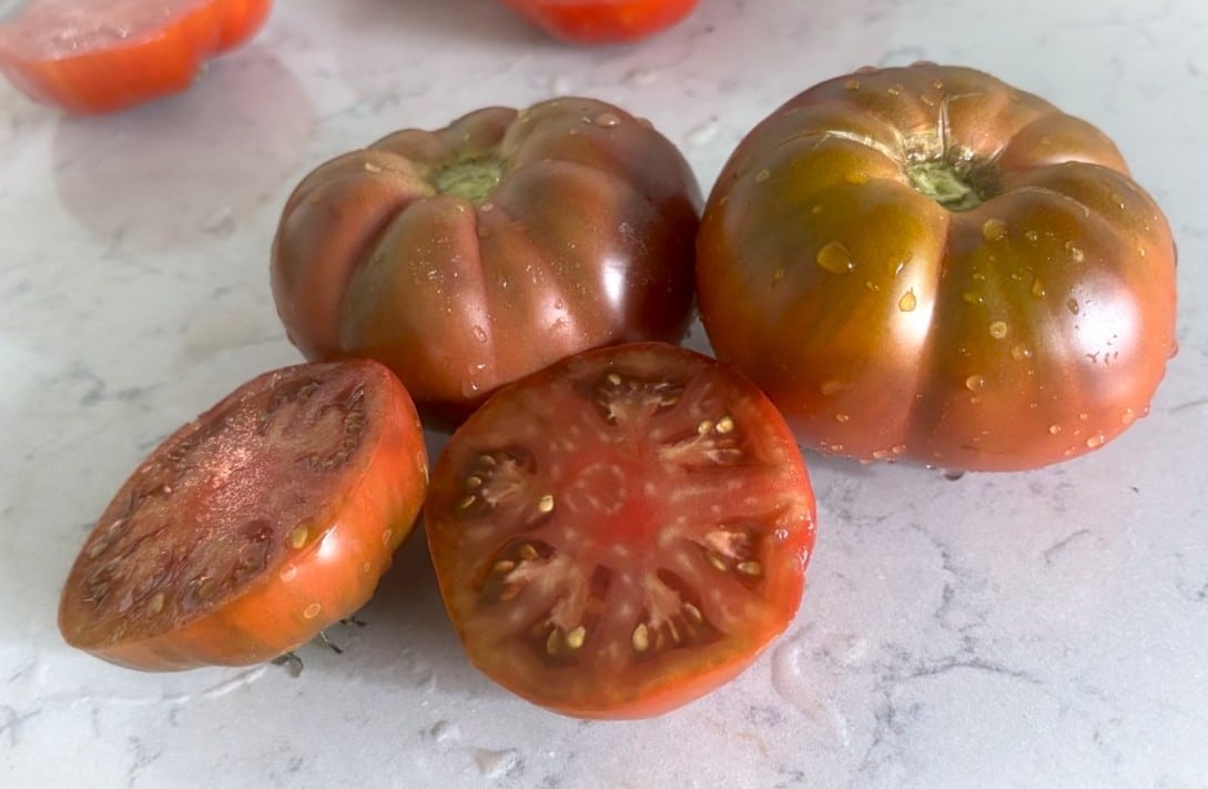 Purple Reign Tomatfröer