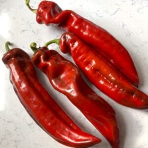 Ramiro Bell Red Chilifrön