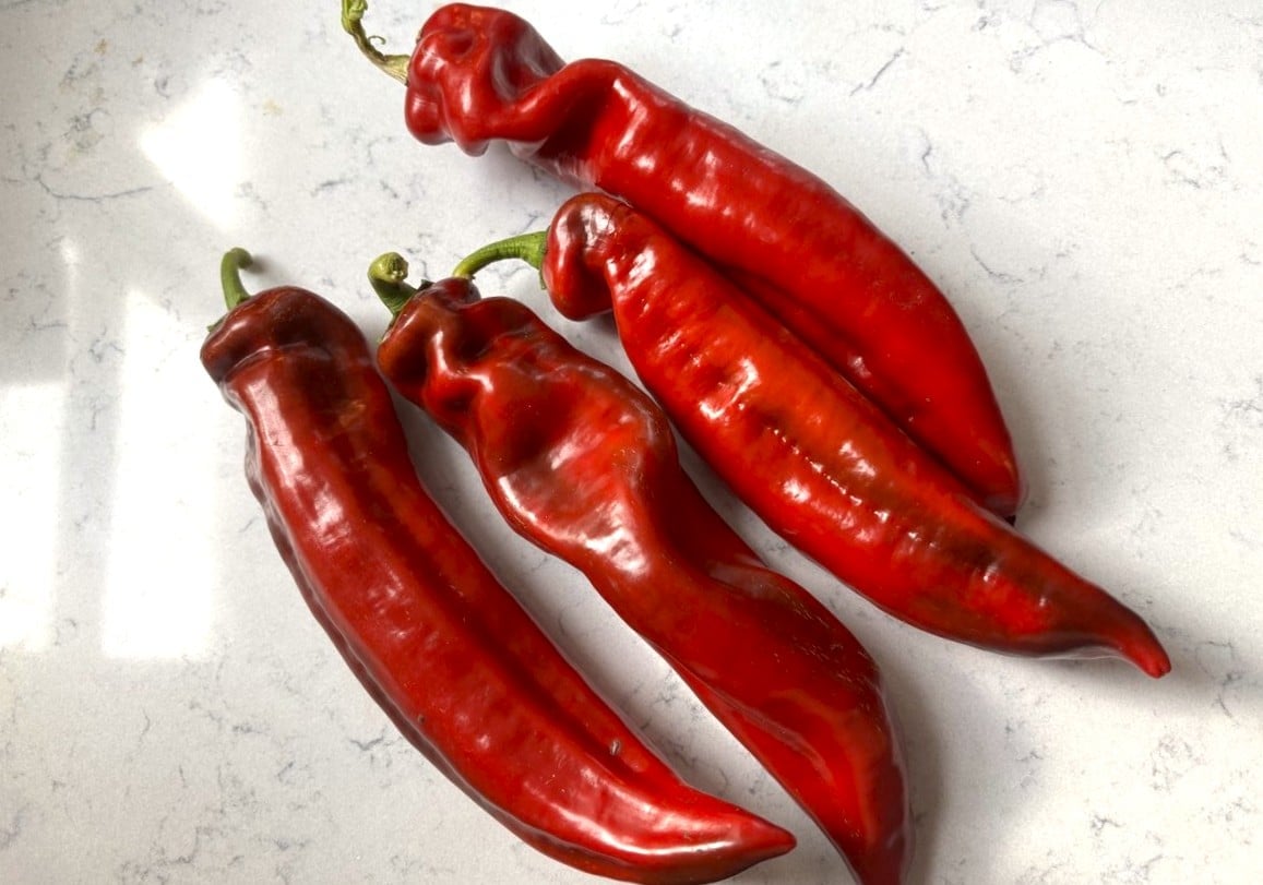 Ramiro Bell Red Chilifrön