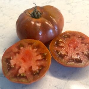 Boronia Tomatfröer