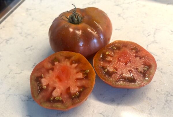 Boronia Tomatfröer 2