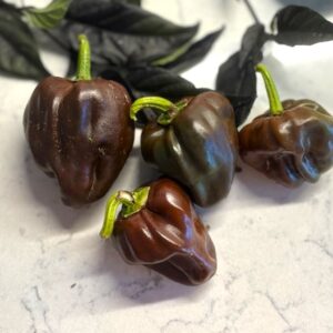 Chile de Onza Chilifrön