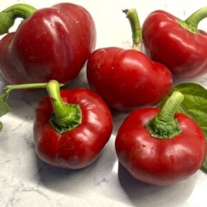 Dumas Chilifrön
