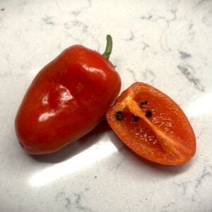 Rocoto San Isidro Chilifrön