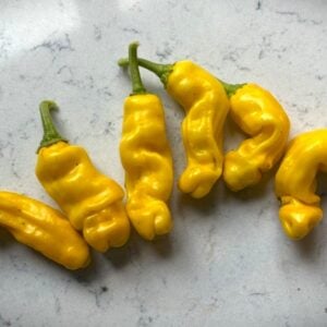 Peter Pepper Yellow Chilifrön