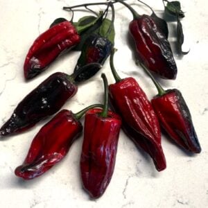 Bryan’s Klingon Blood Chilifrön