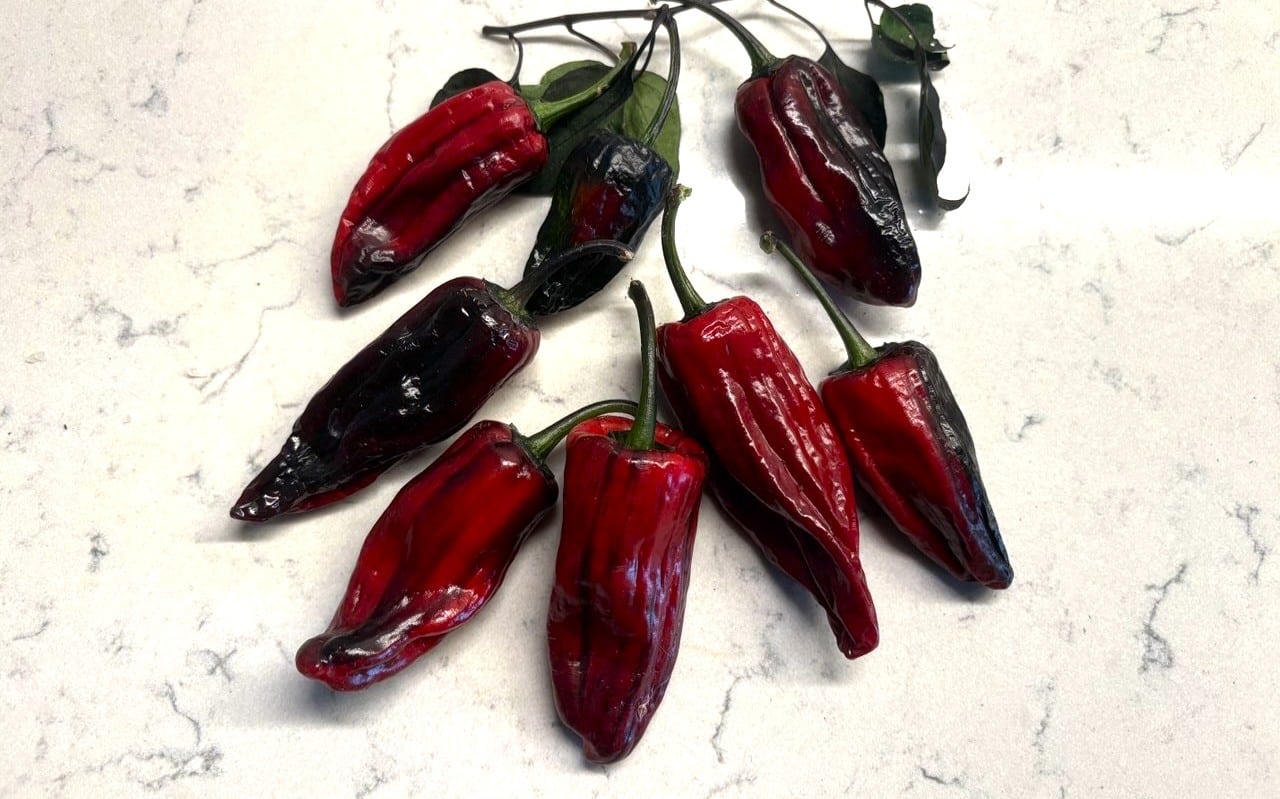 Bryan’s Klingon Blood Chilifrön